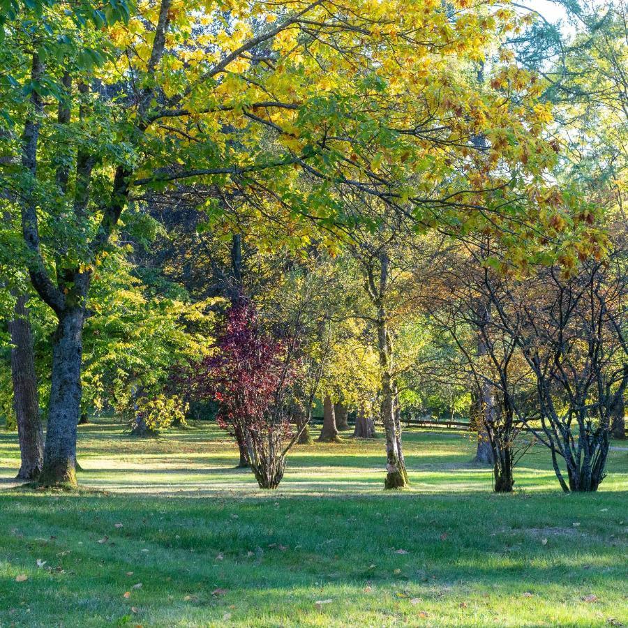Ferienwohnung "Am Kurpark" Sankt-Andreasberg Extérieur photo
